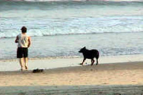  BUCHANANFPC PHOTO (GERRY, AND HIS SERVICE DOG, MACHO, AT ORCHARD  BEACH -- BRONX, NEW YORK)